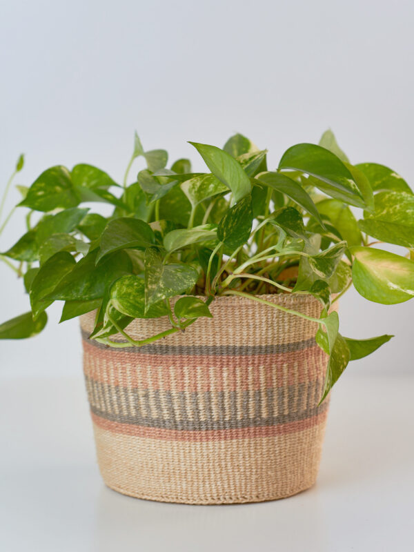 Cesto in sisal intrecciato a mano naturale, taglie S/M/L.