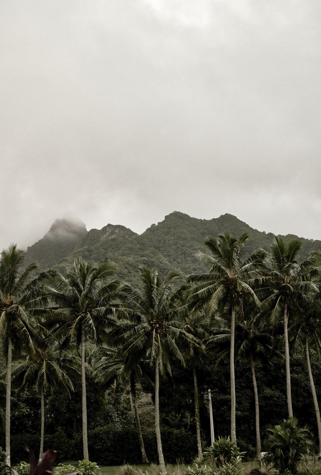 Stampa fotografica The other side - Rarotonga Series - immagine 2