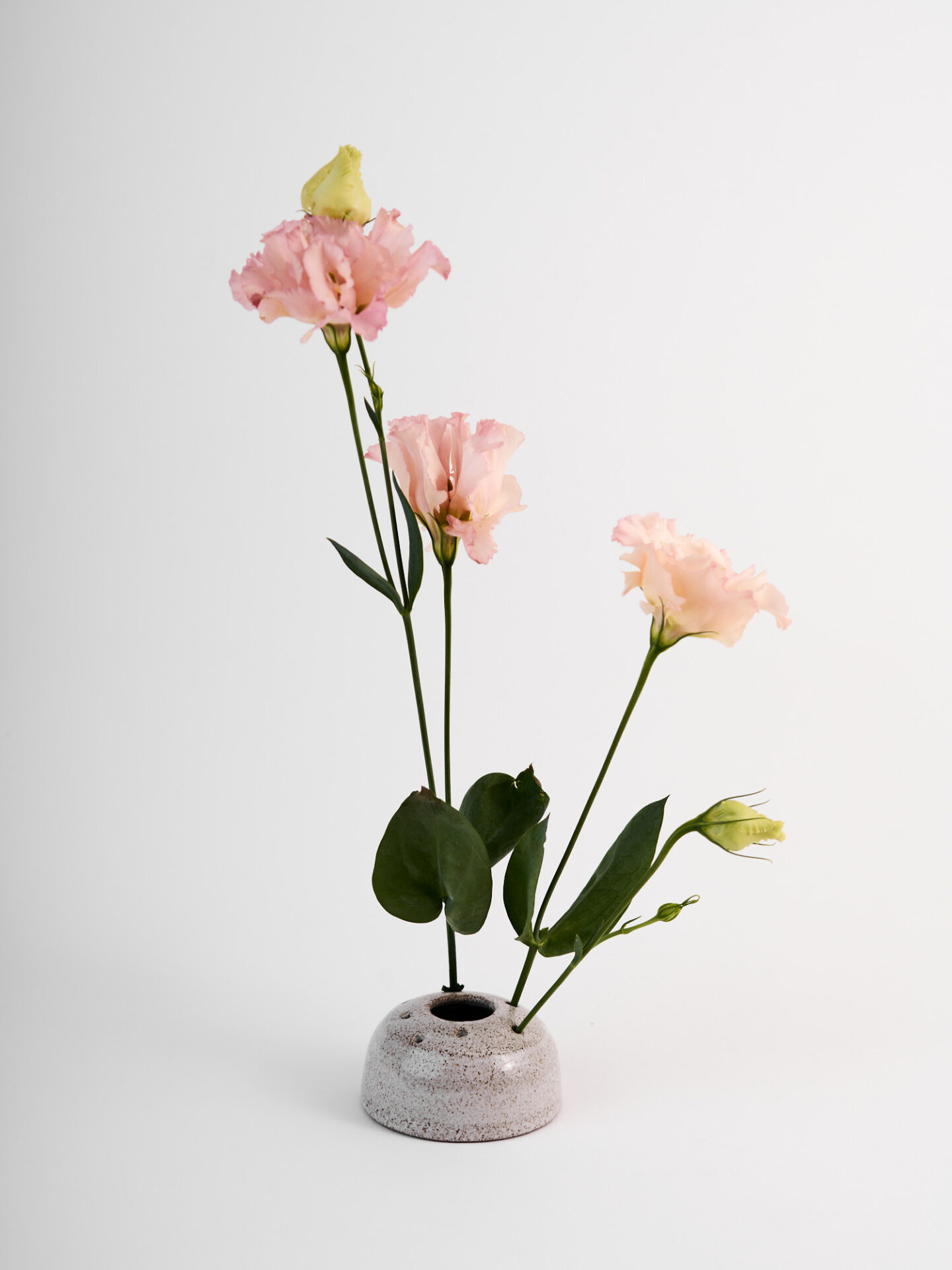 Vaso portafiori in gres puntinato con fiori rosa e boccioli su steli ad altezze diverse.