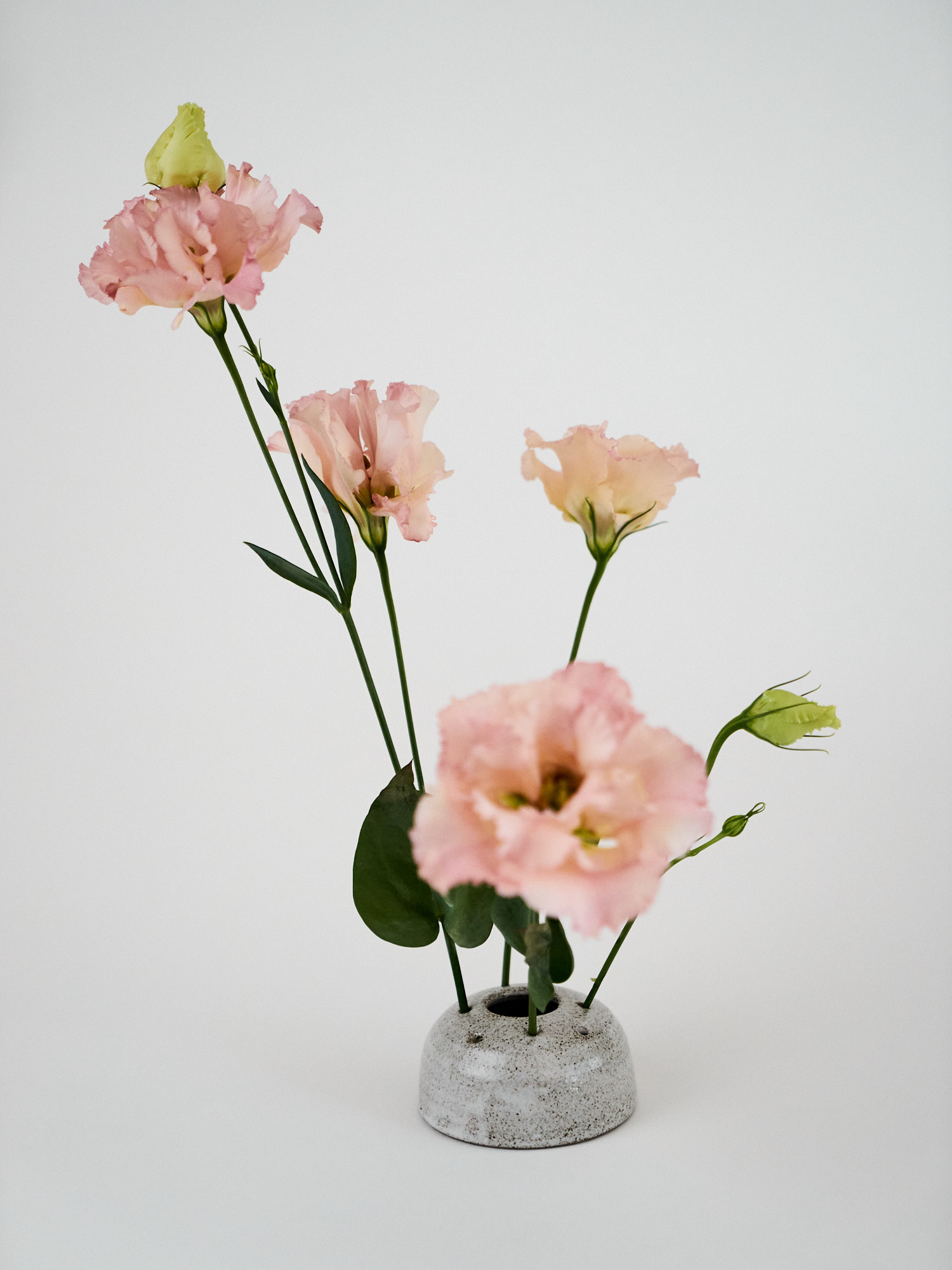 Vaso portafiori in gres con fiori rosa, uno in primo piano e altri su steli più alti.
